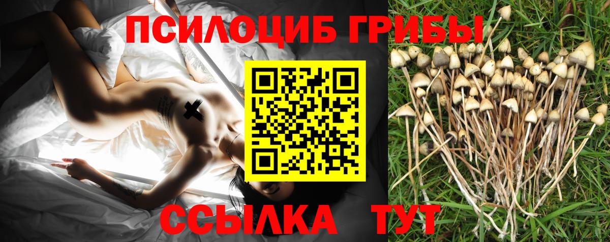 Псилоцибиновые грибы Psilocybe  Вход с VPN  Галлюциногенные грибы мухоморы  Вязники 