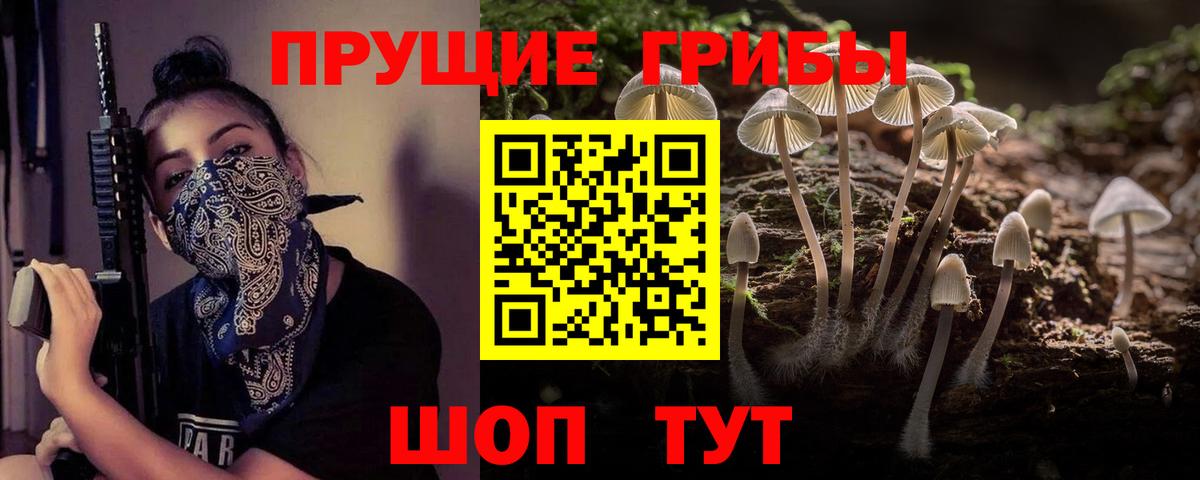 Галлюциногенные грибы GOLDEN TEACHER Вязники